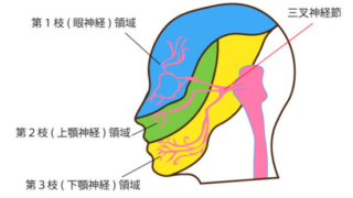 Thumbnail of post image 143