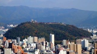 Thumbnail of post image 116