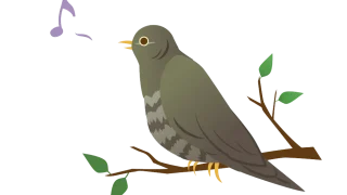 Thumbnail of post image 013