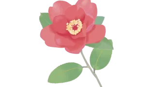 Thumbnail of post image 184
