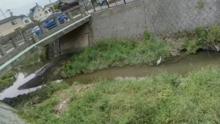 Thumbnail of post image 029