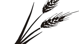 Thumbnail of post image 051