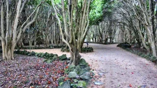 Thumbnail of post image 028