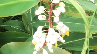Thumbnail of post image 178